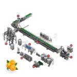 Full Automatic Engery saving Orange Processing Line for Turn Key Project