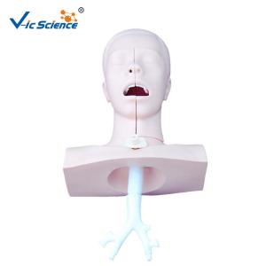 Best Suction Medical Simulation Mannequins For Nursing Skills Training wholesale
