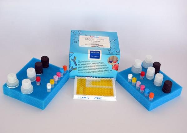 Cheap Deoxynivalenol ELISA Test Kit For Cereals and Feed Quantitative Analysis for sale