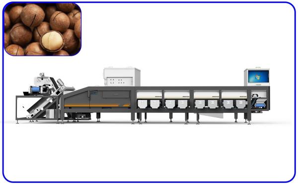 Cheap Industrial Grading Sorting Machine 50Hz 16 Channel For Macadamia Nuts for sale
