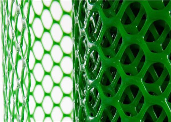Cheap Hexagonal Hole Plastic Mesh Netting Green Color UV Resistance For Poultry Farming for sale