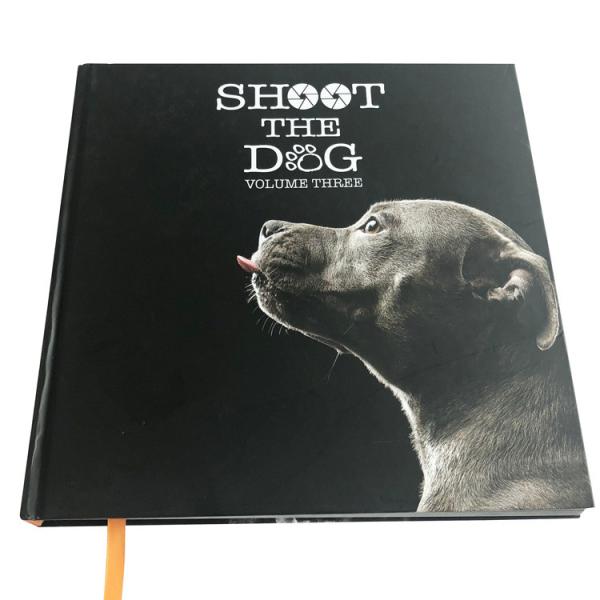 Cheap Cmyk Pantone Custom Hardcover Book Printing 157 Gsm Glossy Paper for sale