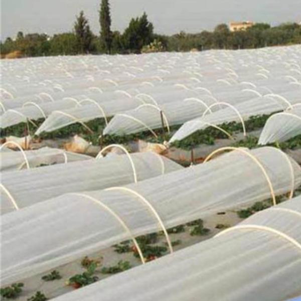 Cheap 200gsm Agriculture Mulching Sheet PP Non Woven Material for sale