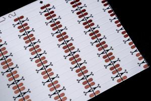 Best HOT 5050RGBW WW fpc High-Quality Flexible PCB Fast Prototype &amp; Mass Production Use For Led Light Double layer circuit board, double-sided WHITE film wholesale