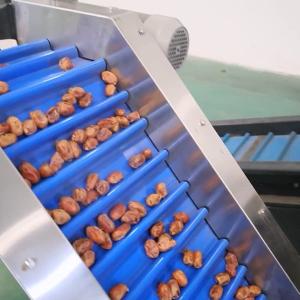 Best Precision Elevating Date Quality Assurance With Advanced Dates Sorting Machine wholesale