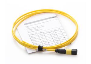 1m MPO MTP Network Patch Cord For Data Center Cabling
