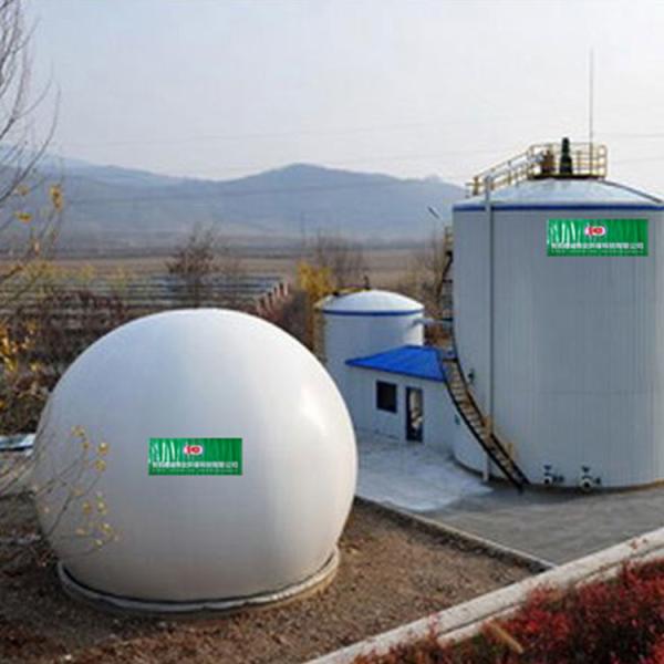 Cheap Chicken Manure CSTR Tank Livestock Continuous Stirred Tank Reactor for sale