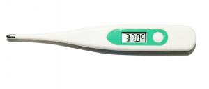 Best Professional Testing Digital Clinical Thermometer With 1 Year Warranty wholesale