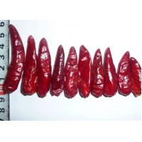 China Sichuan Red Bullet Chilli Stemless Dried Hot Chili Peppers GMP for sale