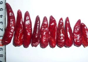 Sichuan Red Bullet Chilli Stemless Dried Hot Chili Peppers GMP