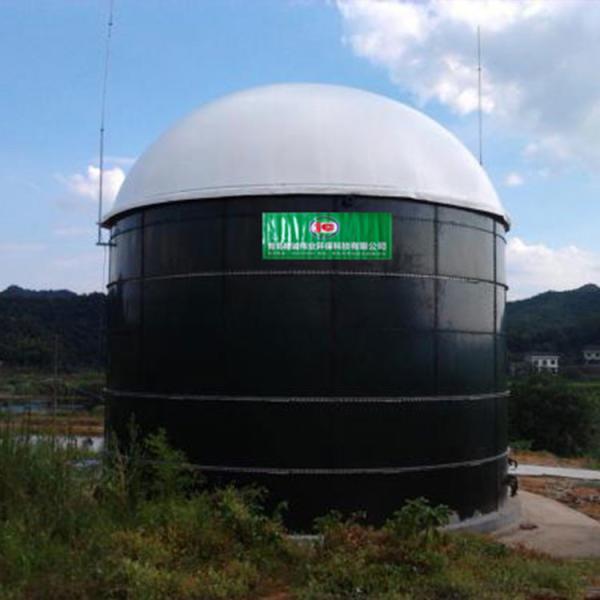 Cheap Wastewater Double Membrane Biogas Holder Biogas Container Internal Circulation for sale