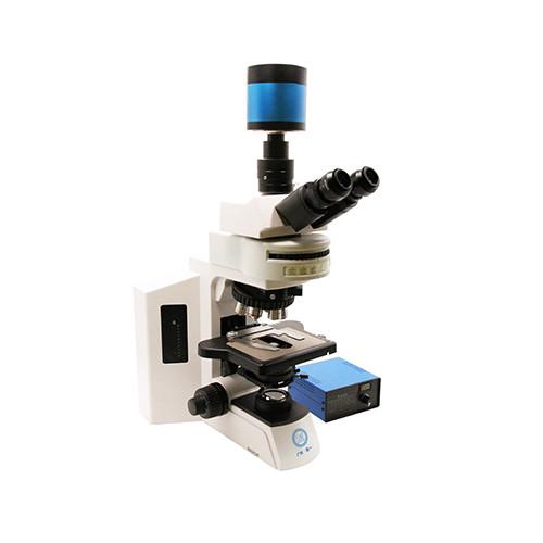 Cheap Research Grade Upright Microscope B80F with 12V/3W LED Light Source for sale