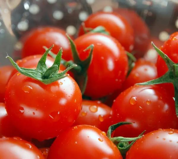 Cheap Fresh Tomato Paste Processing Line Automatic High Capacity for sale