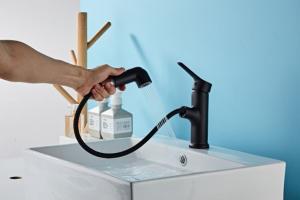 Best Black color Saving Water Explosion Proof Pull Out Sink Faucet wholesale