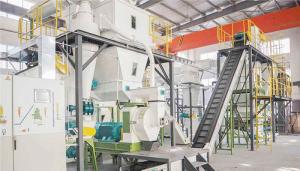China Rice Husk EFB Wood Pellet Production Line , Ring Die Pellet Making Machine on sale