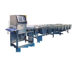 17 Inch Touch Screen 500g Weight Grader Machine 100m/Min Fish Grading Machine