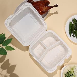 Best 830ml 30oz Transparent PP Hinged Lid Microwave Container 8''X8.5''X3'' wholesale