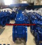 GGG50 resilient seal BS gate valve