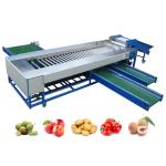 Industrial Automatic Roller Sorting Machine For Sorting And Grading