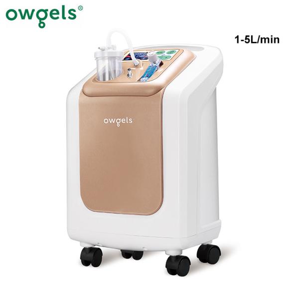 Cheap Medical 5 LPM Portable Oxygen Concentrator For Healthcare Home for sale