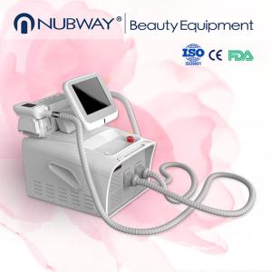 China portable cryolipolysis machine fat freezing cryolipolysis machine / fat freezing machine on sale