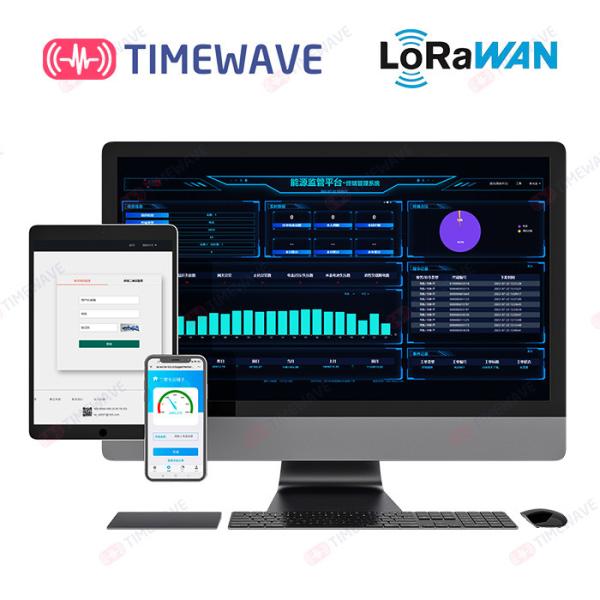 Cheap TW-PaaS AMI Solutions Multifunctional Cross Terminal Access Management System for sale