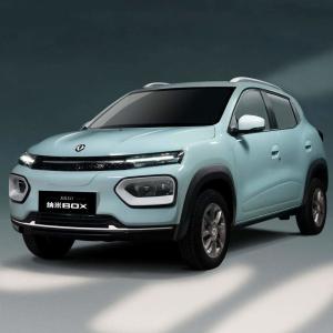 DF Nano Box 2023 331KM Enjoy Electric Car with High Speed and Enjoy Auto