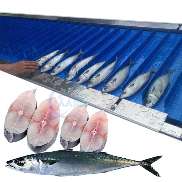 Cheap Fish cutting machine, high-efficiency automatic bone meat cutting machine 304 stainless steel can be customized size for sale