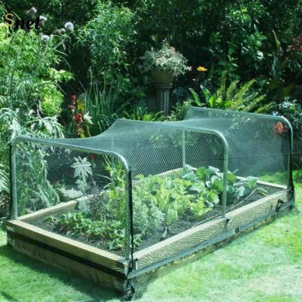 Cheap Sturdy UV Resistant Bird Netting 40M Fruit Tree Bird Netting Customized for sale