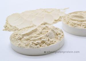 Dried Vital Wheat Gluten  In Bread Processing , 85% Content of Protein
