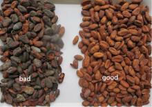 Cheap 1 Ton/H Cocoa Beans Belt Color Sorte Throughput RGB CCD for sale