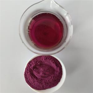 China 25% Proanthocyanidins Cranberry Extract Pac on sale