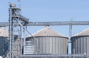 Best Customized Feed Storage Silo 6-27 Meter Hopper Bottom Silo With Ladder wholesale