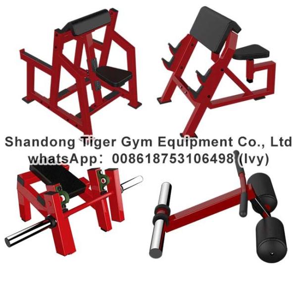 Cheap Gym Fitness Equipment Fore Arm Curl / Seated Arm Curl / Arm curl machine exercise machine for sale