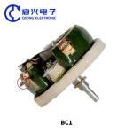 Porcelain Disk Variable Resistor BC1 Type Rotor Threaded Resistor