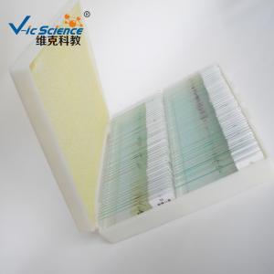 Best Professional Mixed Amscope Microscope Slides 100pcs Oem Service wholesale