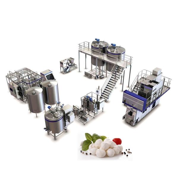 Cheap Customization Pasteurizer Milk Production Machine for sale