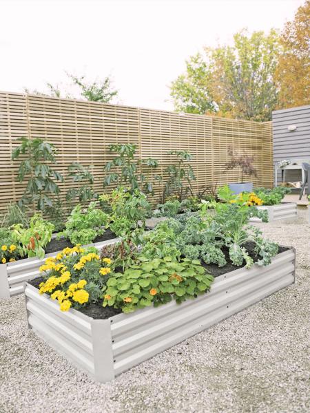 Cheap Anti Rusting 100cm Raised Metal Garden Bed For Herbs for sale