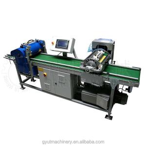 China Stainless Steel Tray Tomato Seeding Machine Vacuum Seeder with Precision Planter on sale