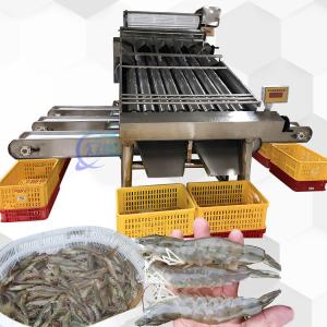 Best 3P Multiscene Shrimp Grading Machine Automatic Multi Function wholesale