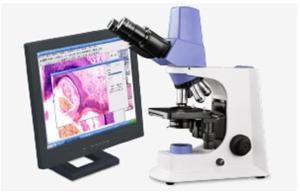 Best Smart Digital Optical Microscope Infinity E - Plan Objective Two Slide Holder wholesale