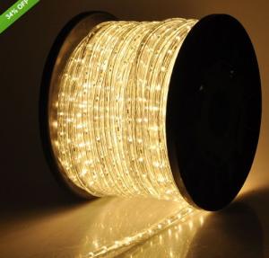 China 2 wire led building decorative light warm white led rope lights on sale