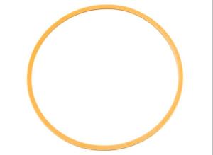 Low Pressure Cylinder End Cover 60k ESL Back Up Seal A-00250-240