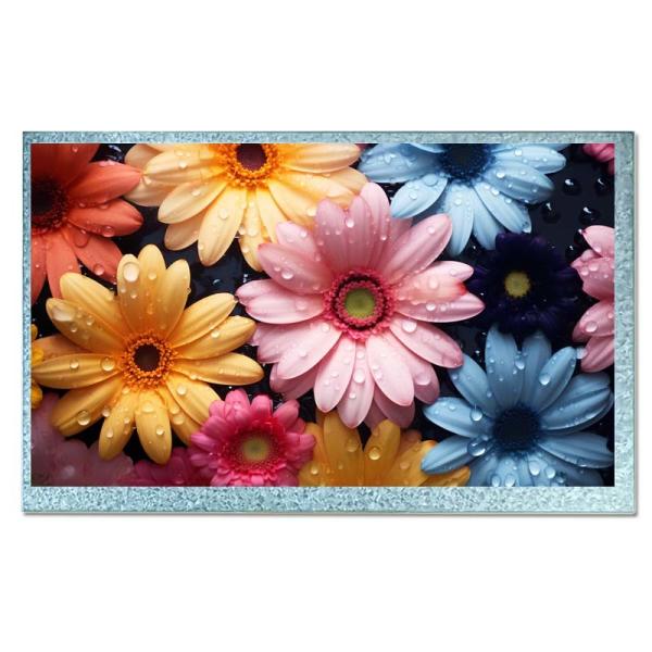 Cheap 7.0 Inch TN Industrial TFT Display LCD High Resolution With RGB Interface for sale