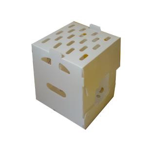 China Custom Size Coloured Coroplast Storage Boxes Recyclable on sale