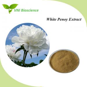 Best ISO Certified 10-98% Paeoniflorin HPLC White Penoy Extract for Cosmetic wholesale