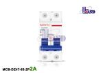 2 Amp B Curve Circuit Breaker 2Pole Type C Mcb Tripping Curve