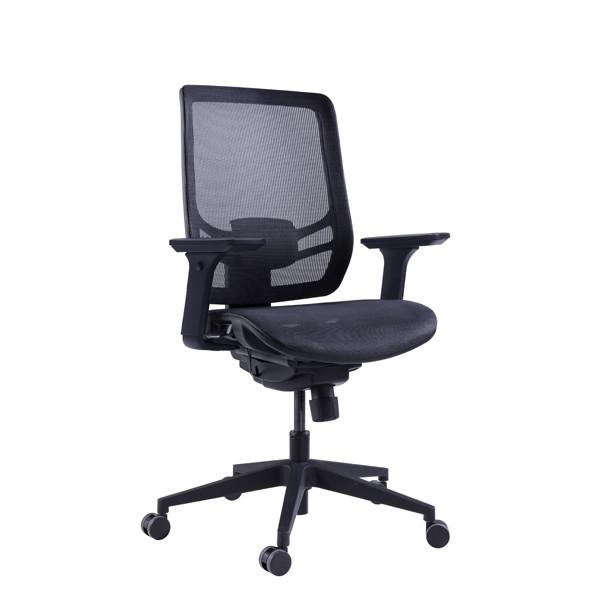 Cheap Wintex Mesh Swivel Chair With Adaptive Twist Ergonomic Computer Task Chairs for sale