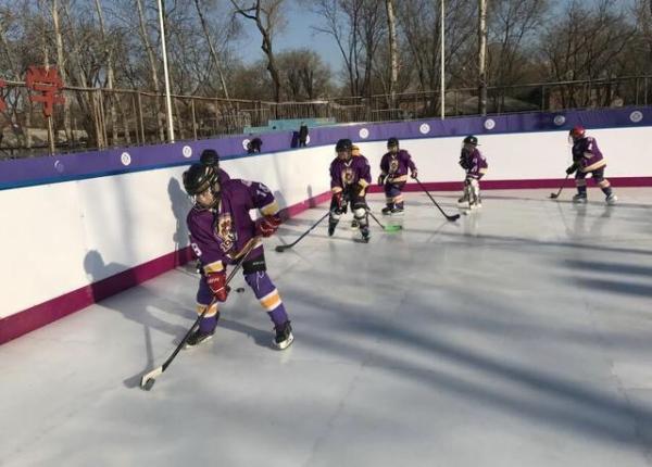 Cheap synthetic ice rink for sale