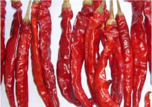 Stemless Erjingtiao Dried Chilis Sterilized Whole Chillies Pungent